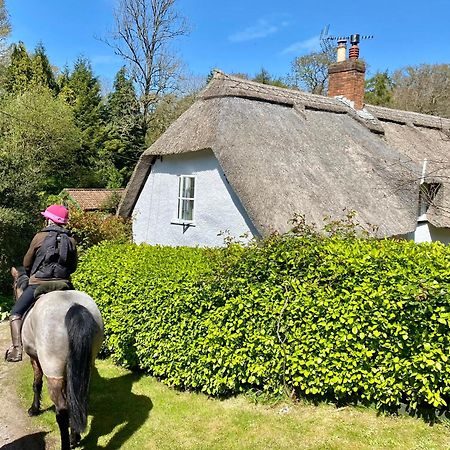 Pardlestone Farm B&B Kilve Exterior photo