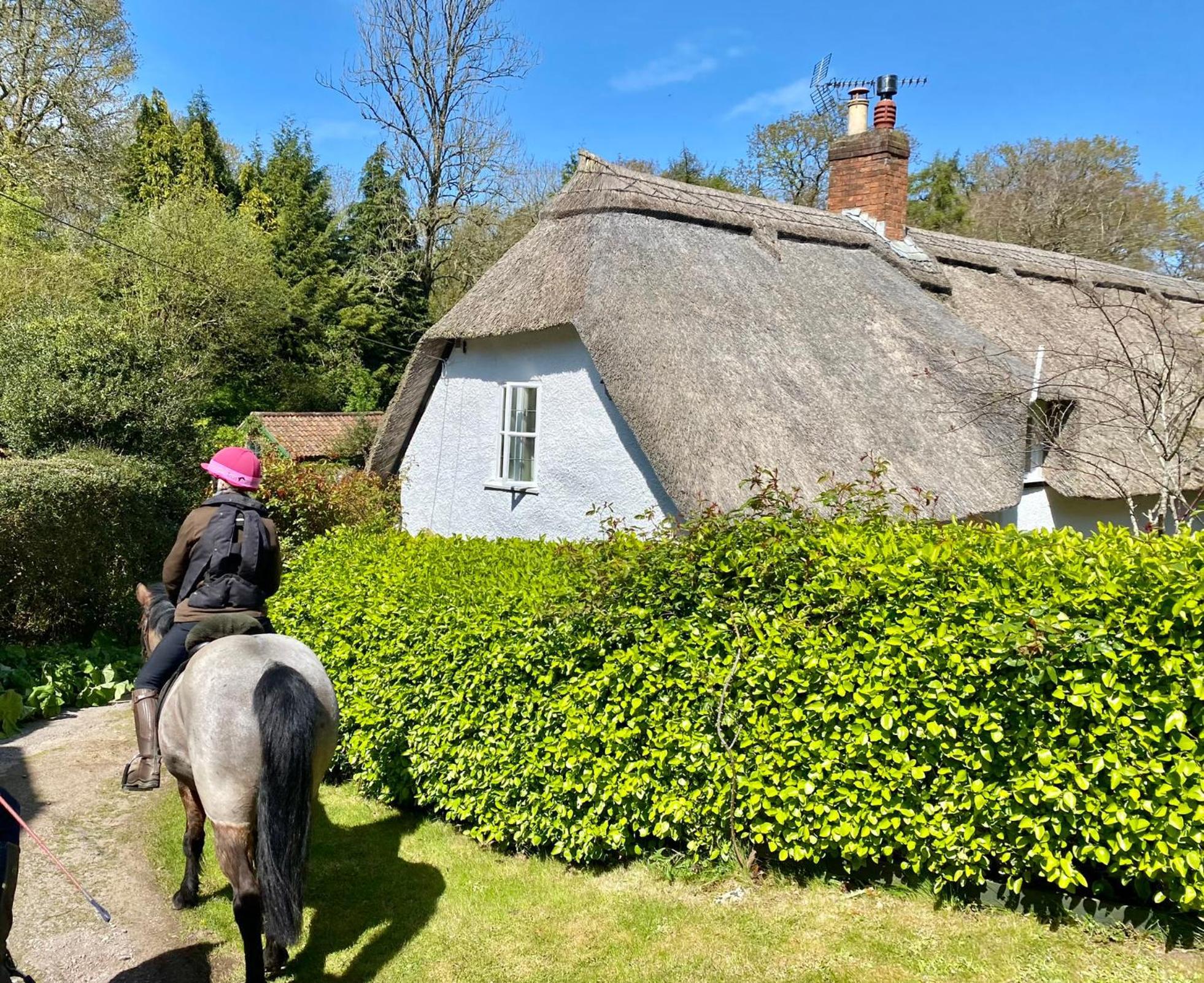 Pardlestone Farm B&B Kilve Exterior photo