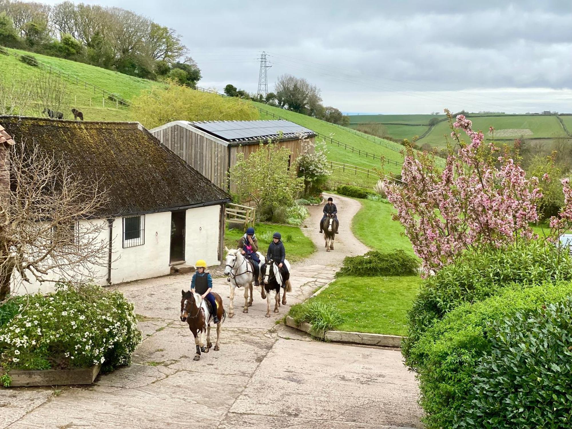 Pardlestone Farm B&B Kilve Exterior photo