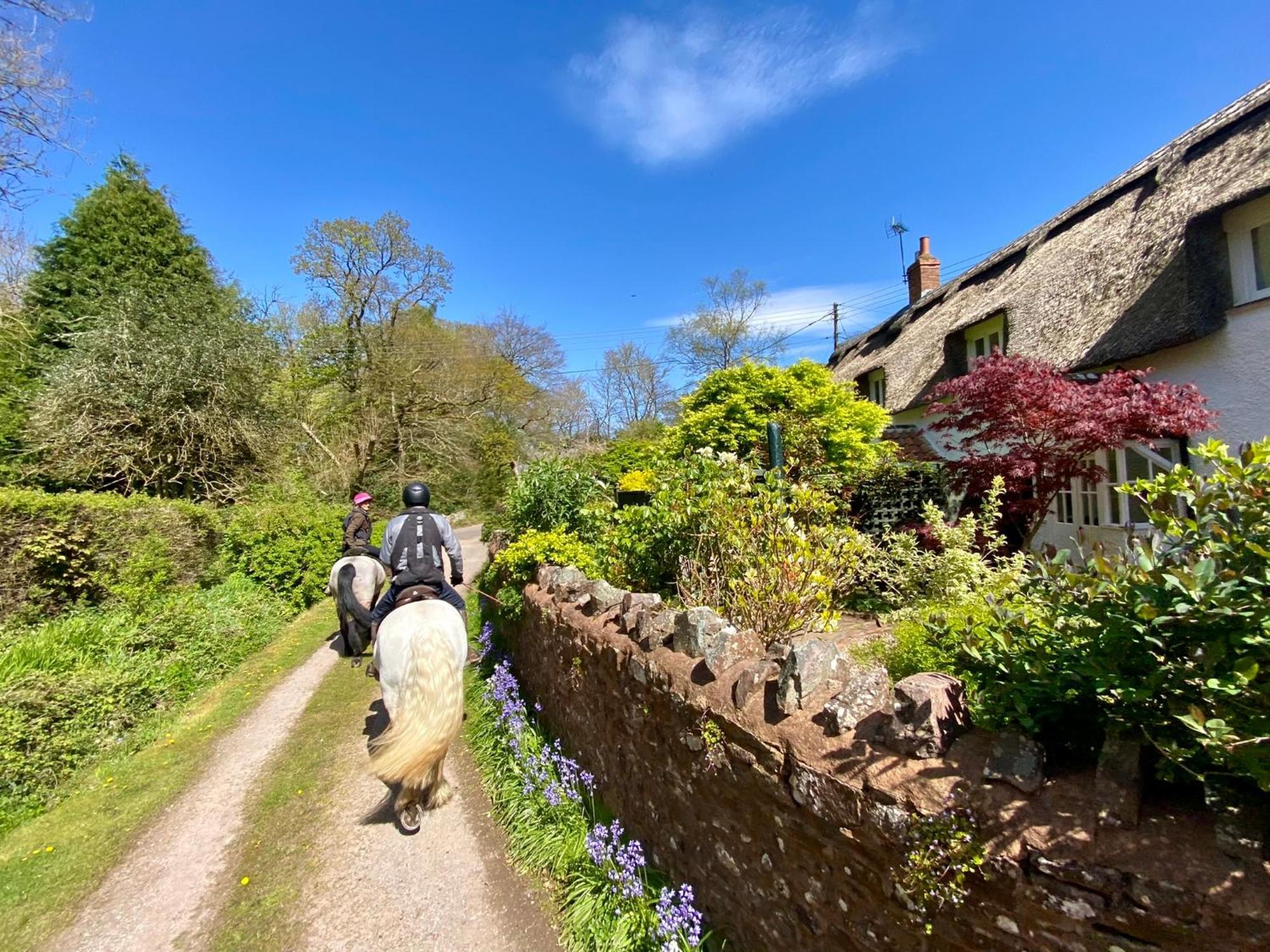 Pardlestone Farm B&B Kilve Exterior photo