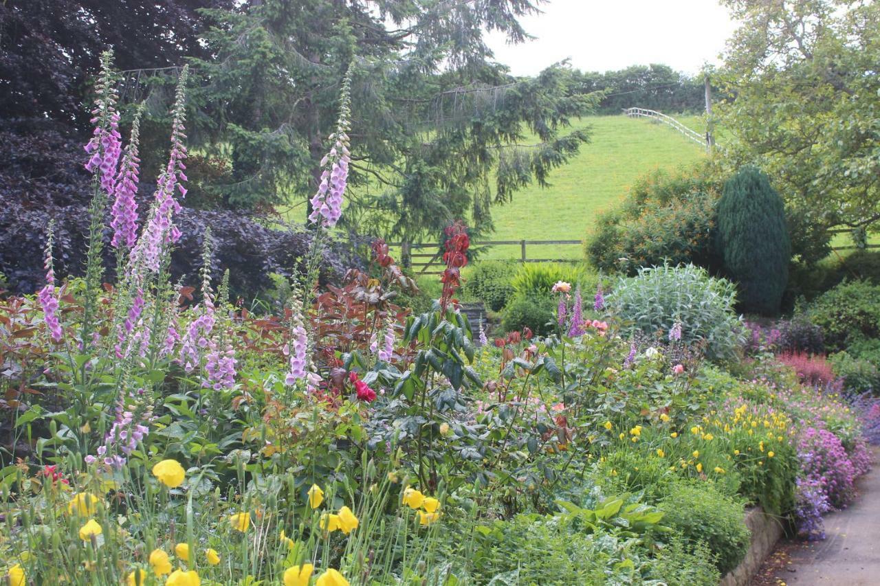 Pardlestone Farm B&B Kilve Exterior photo